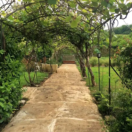 D'hotes Les 2 Tilleuls 3* 菲雅克